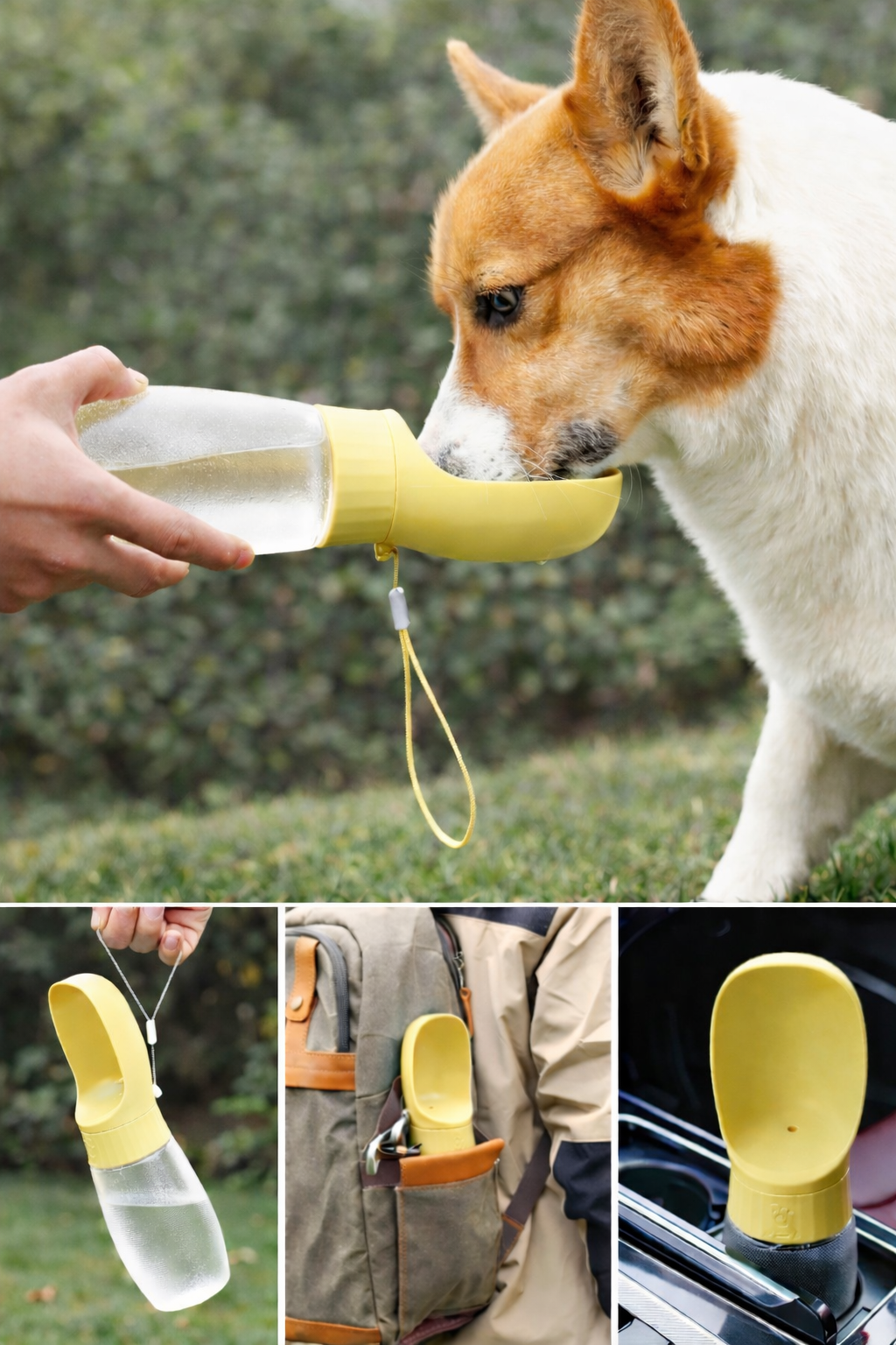 בקבוק מים לכלבים