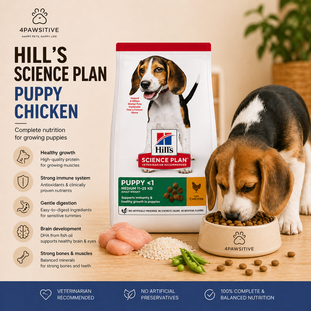 Hill’s Science Plan Puppy Chicken – מזון יבש לגורים