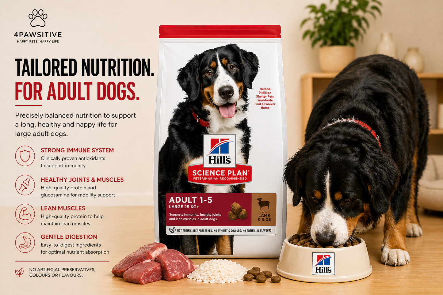 🐶 Hill’s Science Plan Adult 1–5 לכלבים גדולים עם כבש ואורז