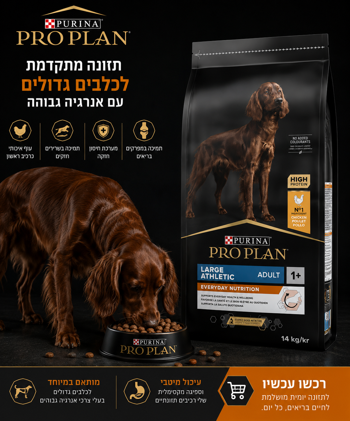 🐶 Purina Pro Plan Large Athletic Adult Everyday Nutrition