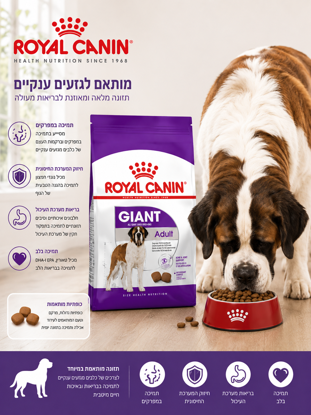 š¾ ×××× ××× ×××××× ××××¢×× ×¢× ×§××× ā Royal Canin Giant Adult š¶