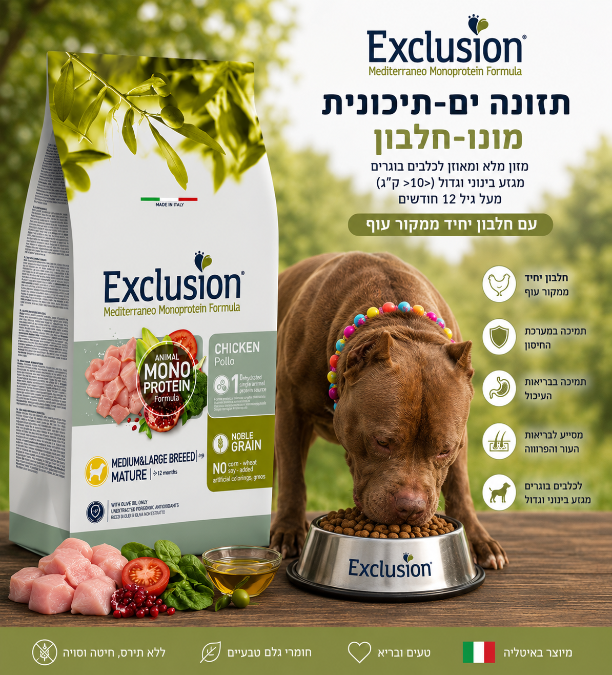 š¾ Exclusion Chicken Senior ā ×××× ××ש ×××××× ××××ר×× ××××¢ ××× ×× × ××××× š¶š