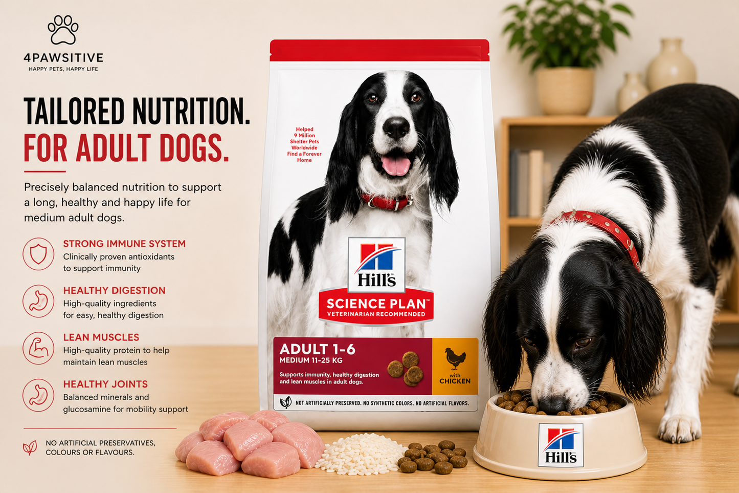 🐶 Hill’s Science Plan Adult 1–6 לכלבים בינוניים עם עוף