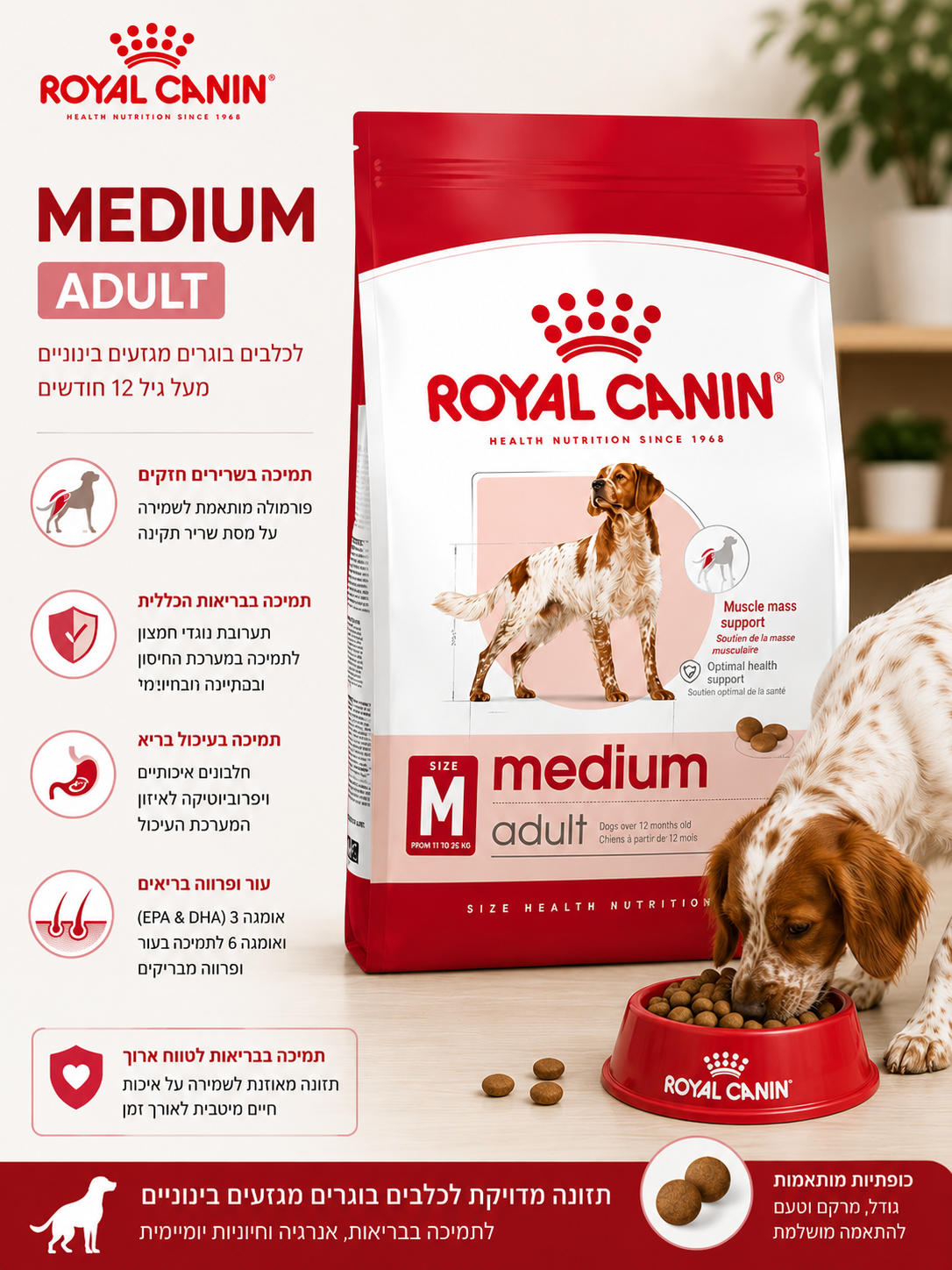 š¶ Royal Canin Medium Adult ×××××× ×××ר×× ××××¢×× ××× ×× ×××