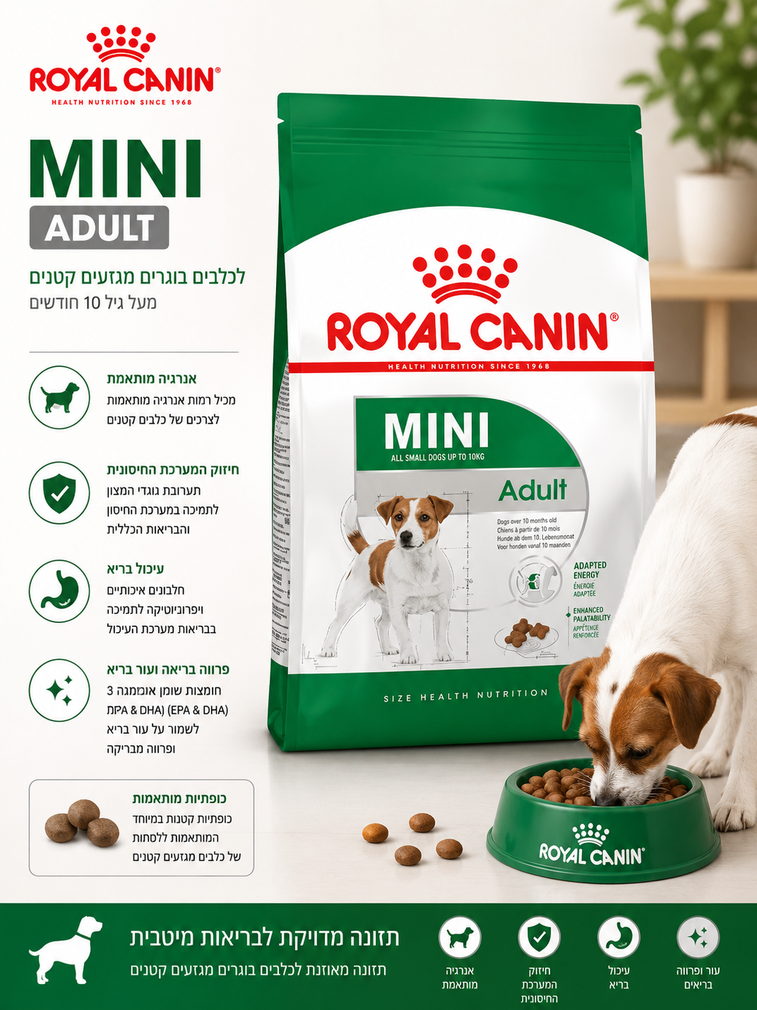 š¶ Royal Canin Mini Adult ×××××× ×××ר×× ××××¢×× ×§×× ××