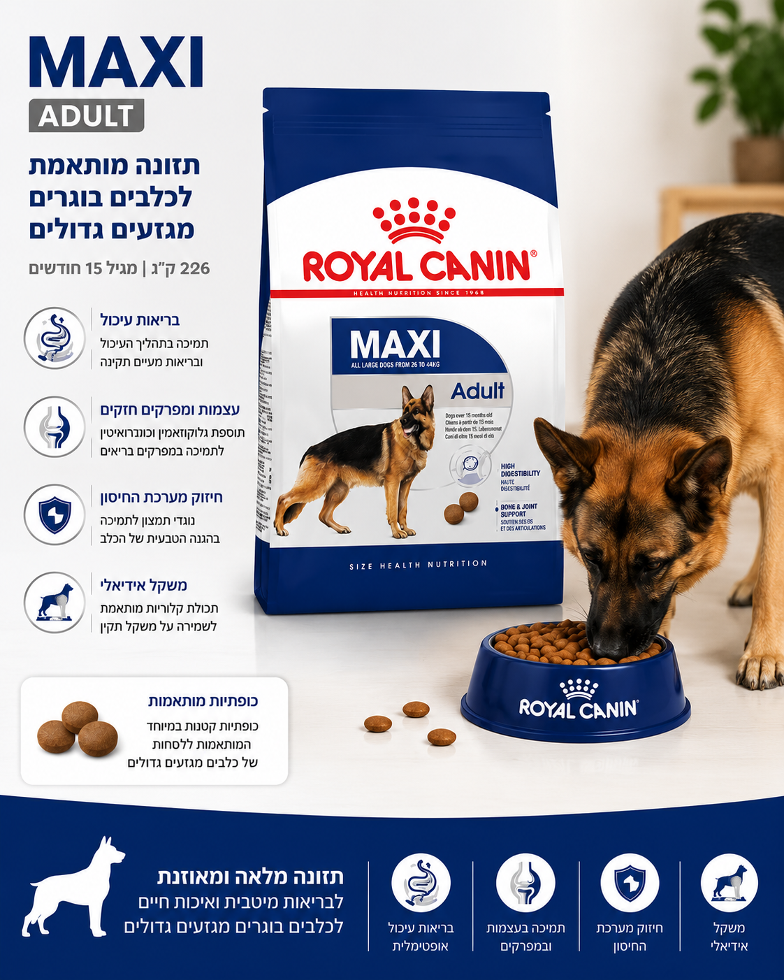 š¶ Royal Canin Maxi Adult ×××××× ×××ר×× ××××¢×× ××××××