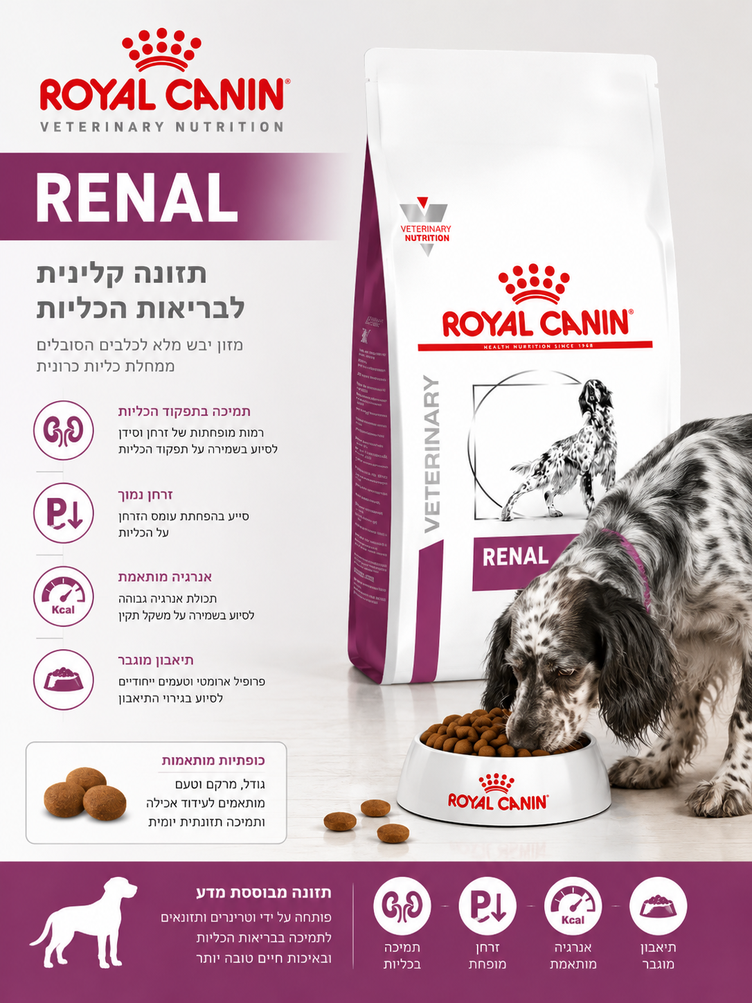 🐶 Royal Canin Renal Veterinary לתמיכה בכליות