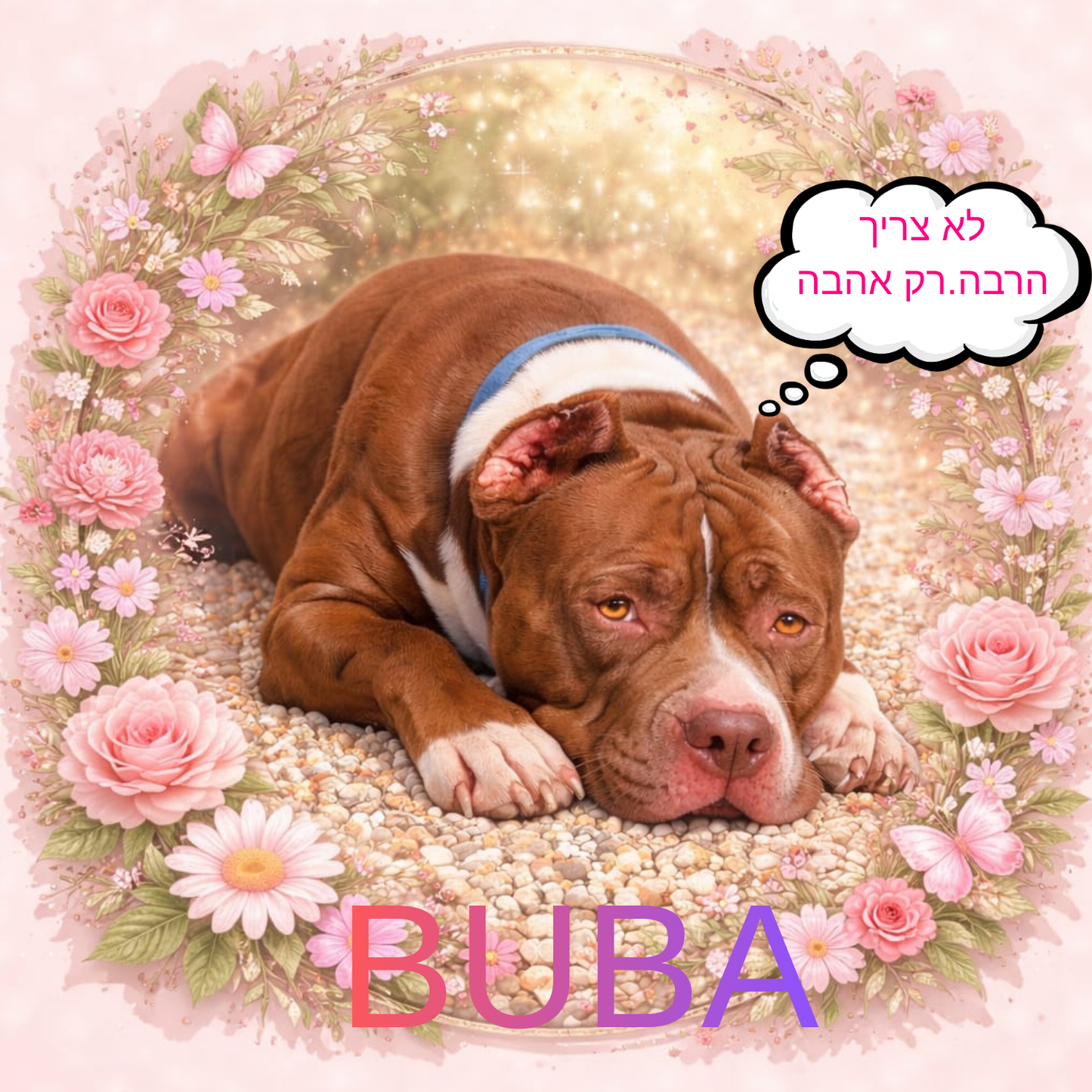 🐾 חולצת טי יוניסקס