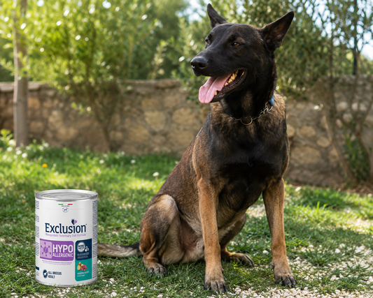 🐾 Exclusion Hypoallergenic Venison &amp; Potato – מזון רטוב היפואלרגני לכלבים בוגרים 🐶