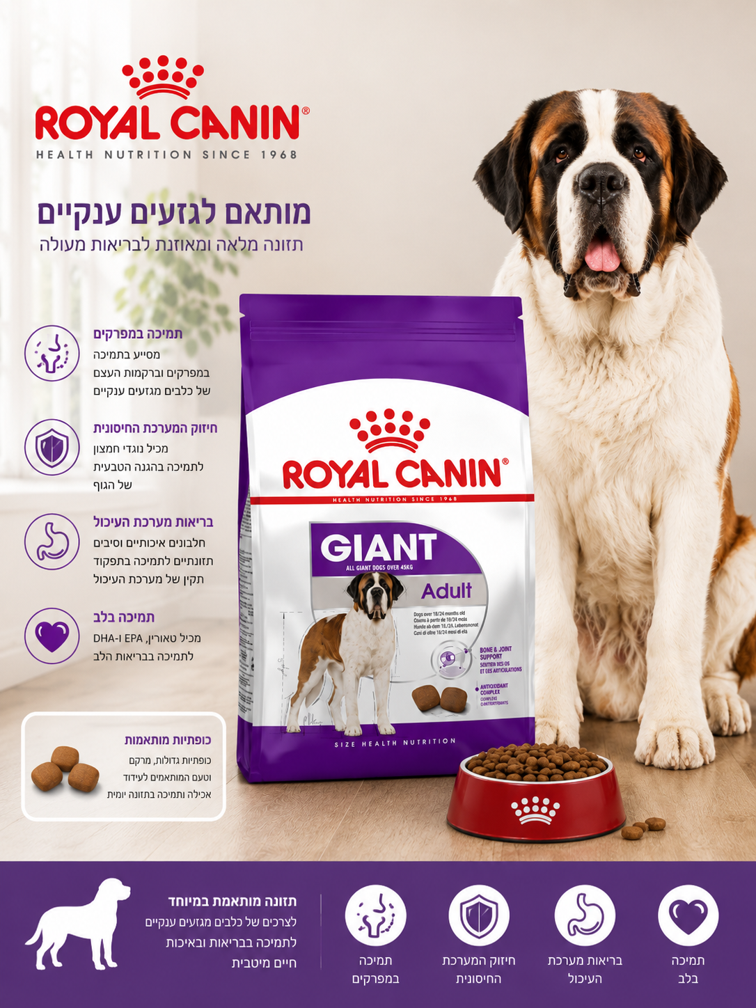 🐾 מזון מלא לכלבים מגזעים ענקיים – Royal Canin Giant Adult 🐶
