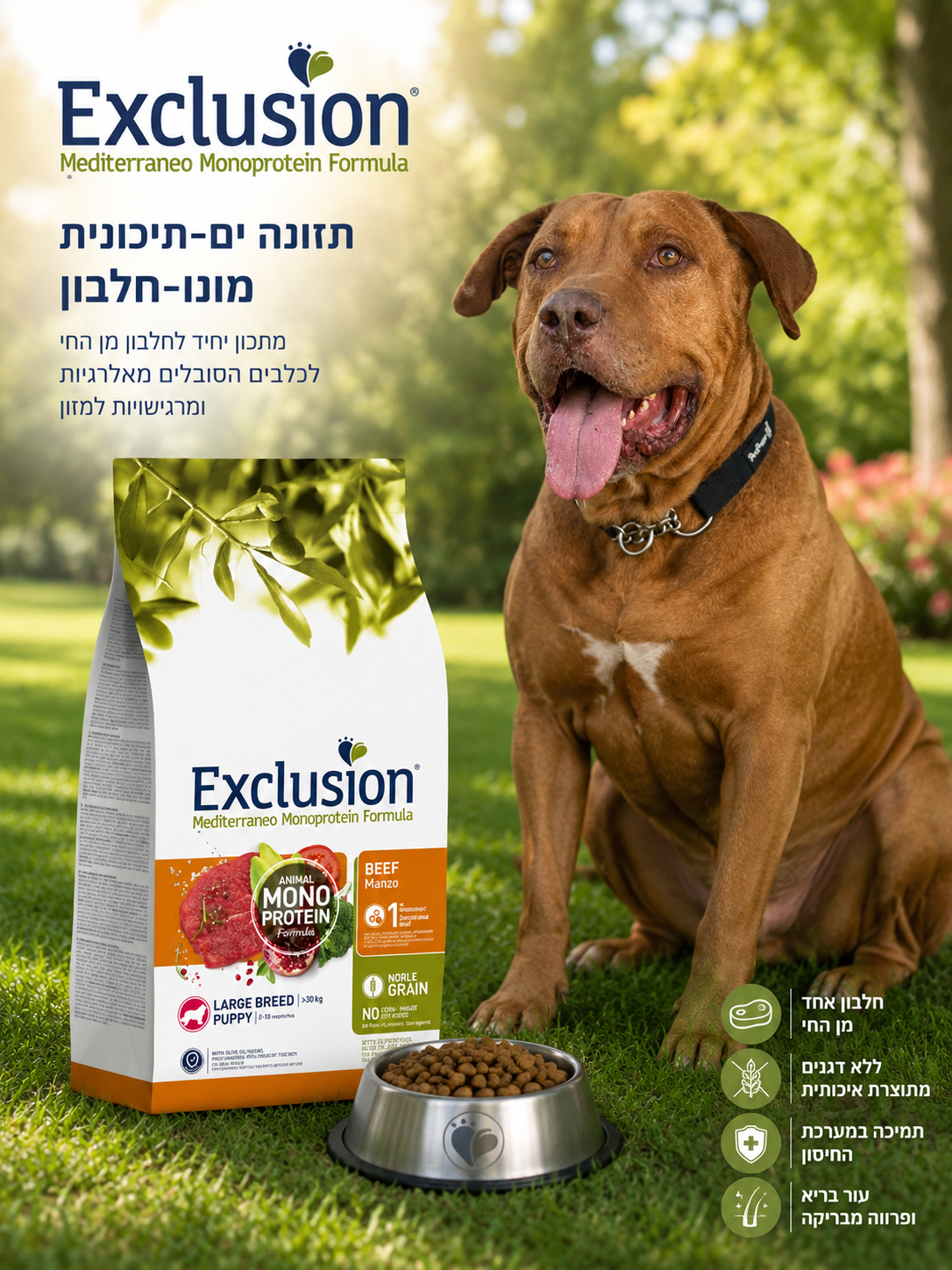 🐾 Exclusion Monoprotein Beef – מזון לגורי כלבים מגזעים גדולים 🐶