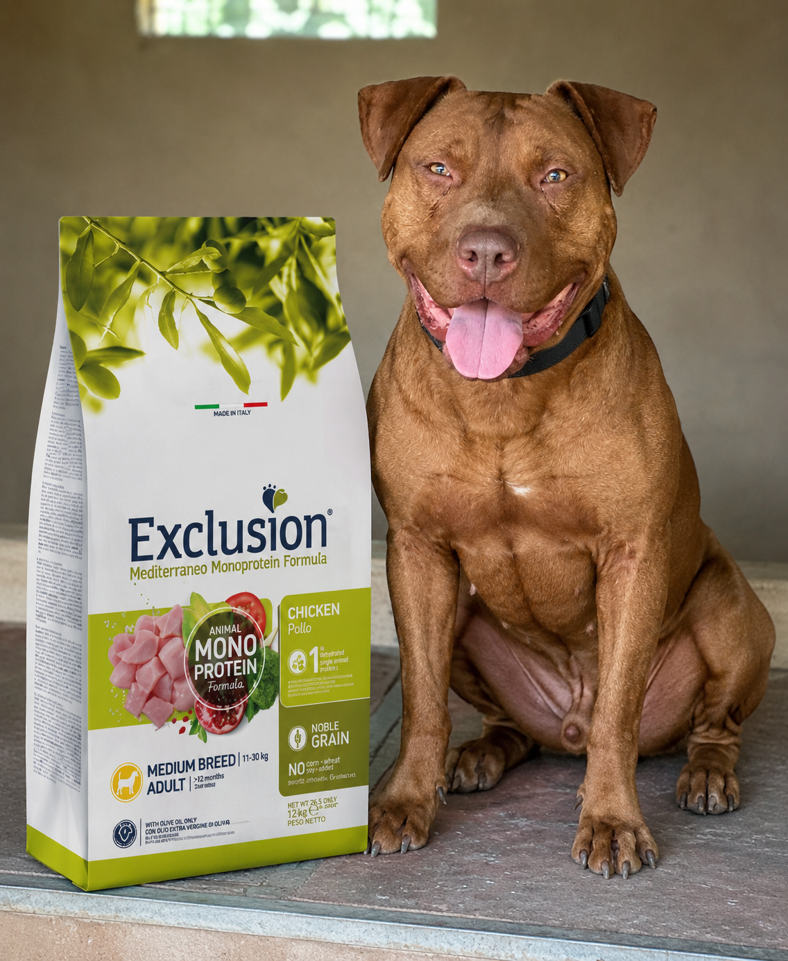🐾 Exclusion Chicken Monoprotein – מזון יבש לכלבים בוגרים מגזע בינוני 🐶🐔