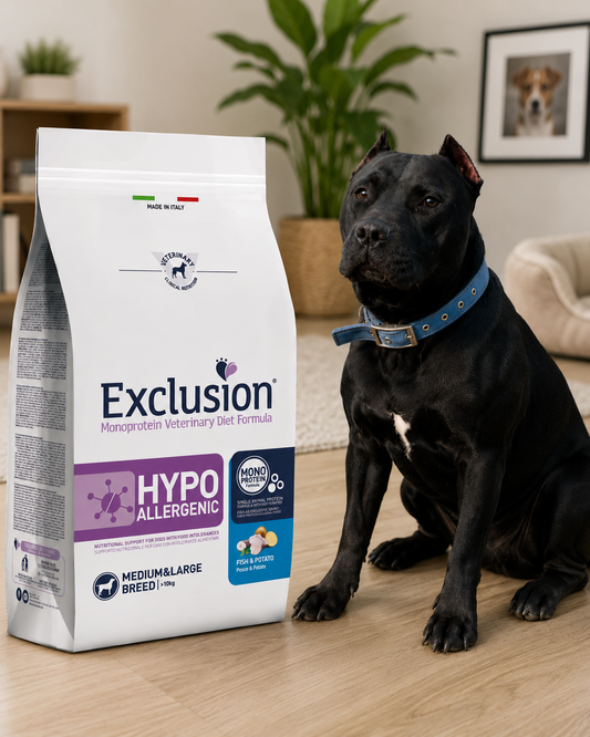 🐾 Exclusion Hypoallergenic Fish &amp; Potato – מזון יבש היפואלרגני לכלבים מגזע בינוני וגדול 🐶🐟