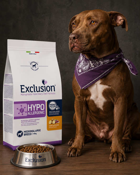 🐾 Exclusion Hypoallergenic Duck &amp; Potato – מזון יבש היפואלרגני לכלבים מגזע בינוני וגדול 🐶🦆