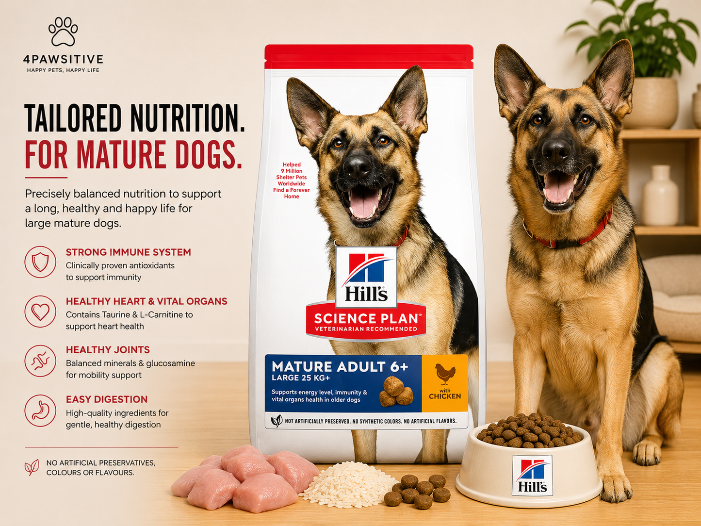 🐶 Hill’s Science Plan Mature Adult 6+ לכלבים גדולים עם עוף