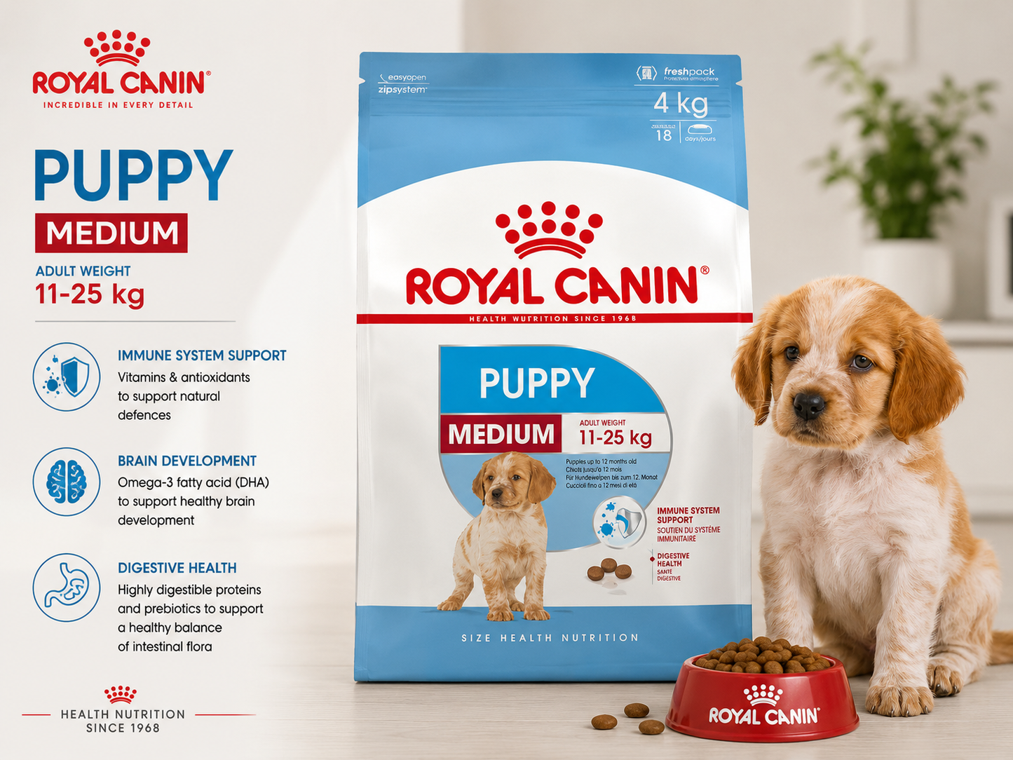 🐶 Royal Canin Medium Puppy לגורי כלבים מגזעים בינוניים