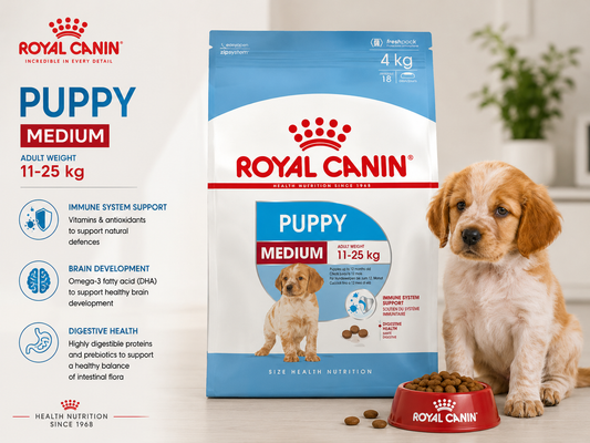 🐶 Royal Canin Medium Puppy לגורי כלבים מגזעים בינוניים