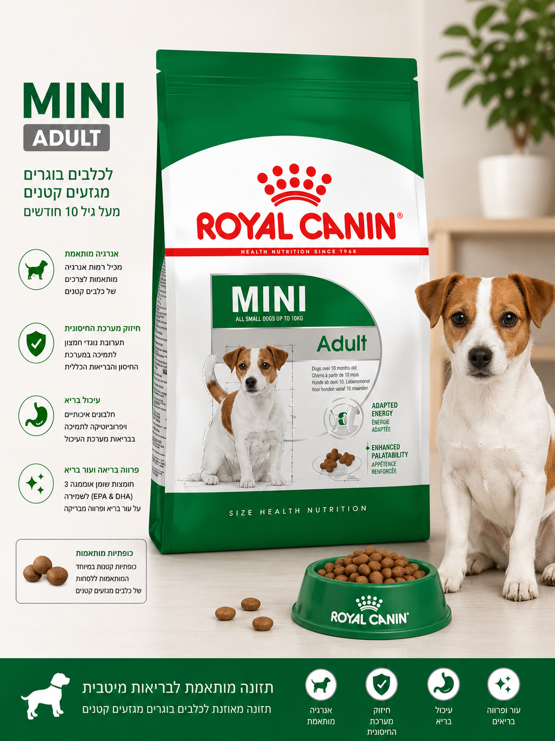 🐶 Royal Canin Mini Adult לכלבים בוגרים מגזעים קטנים