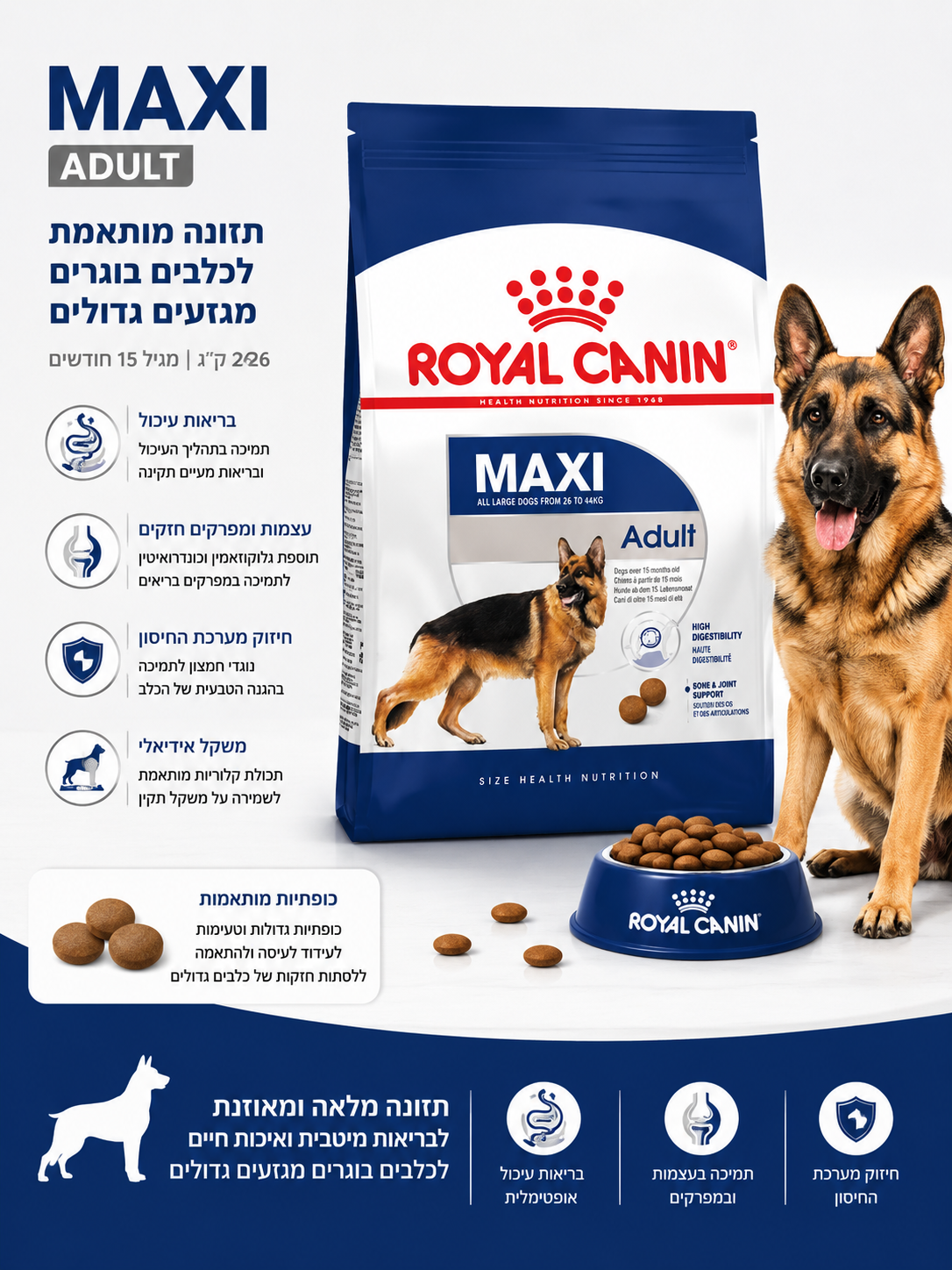 🐶 Royal Canin Maxi Adult לכלבים בוגרים מגזעים גדולים