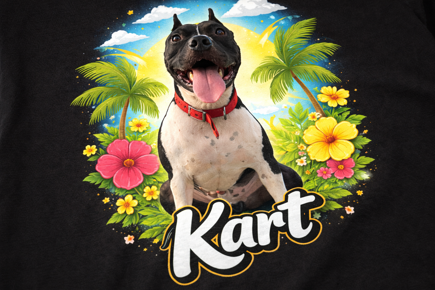 🐾 חולצת טי יוניסקס