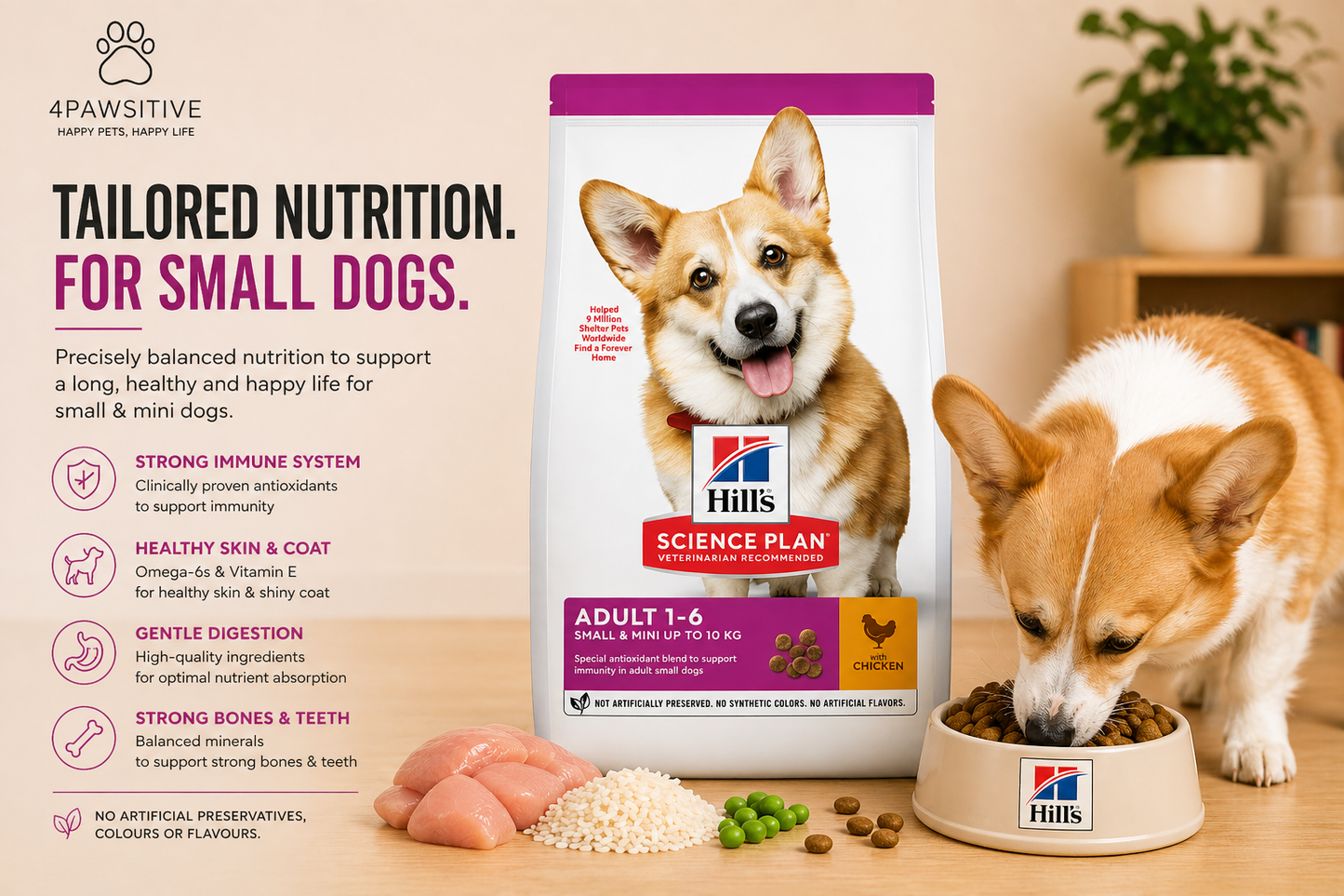 🐶 Hill’s Science Plan Adult 1–6 לכלבים קטנים עם עוף
