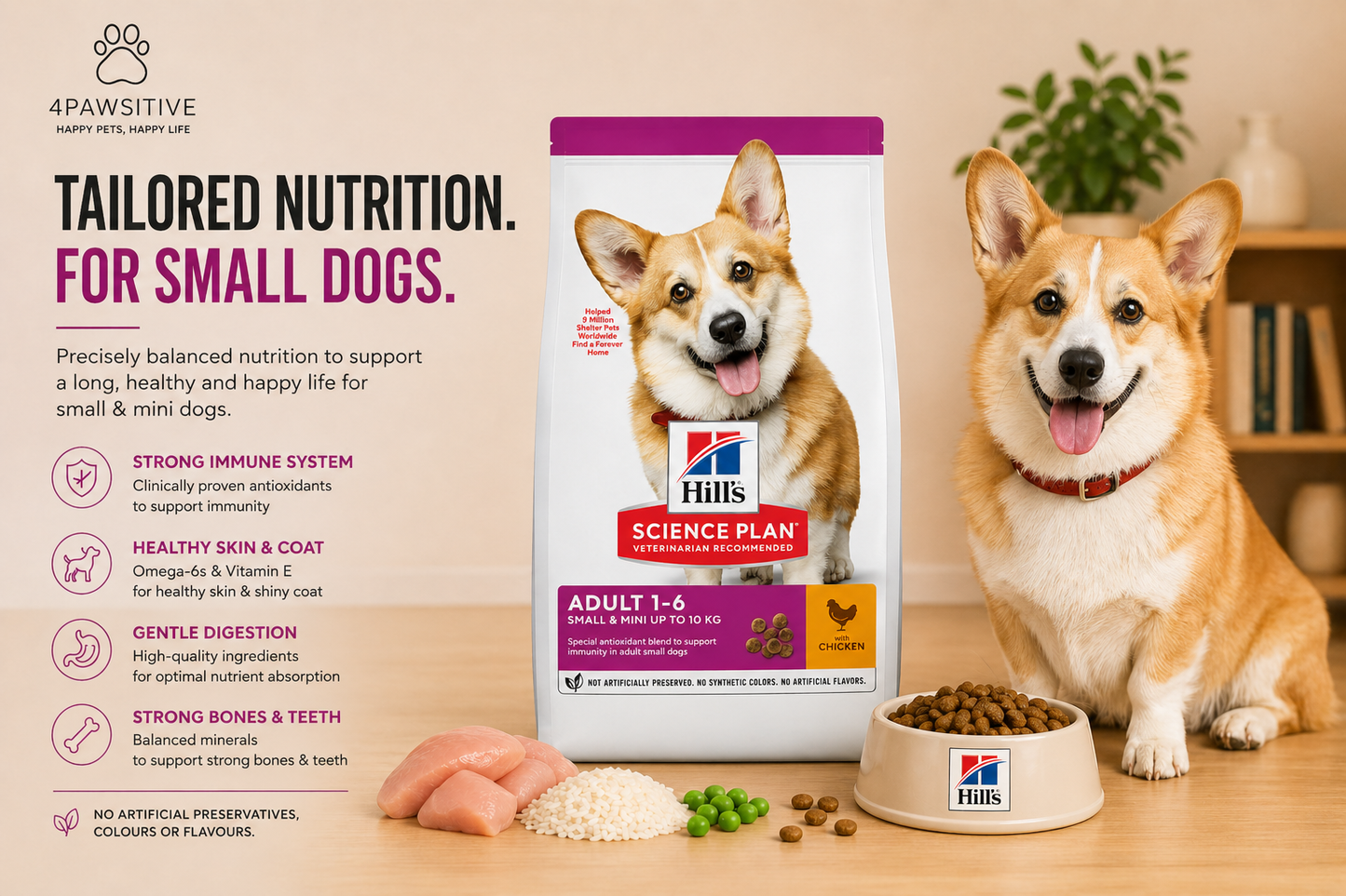 🐶 Hill’s Science Plan Adult 1–6 לכלבים קטנים עם עוף