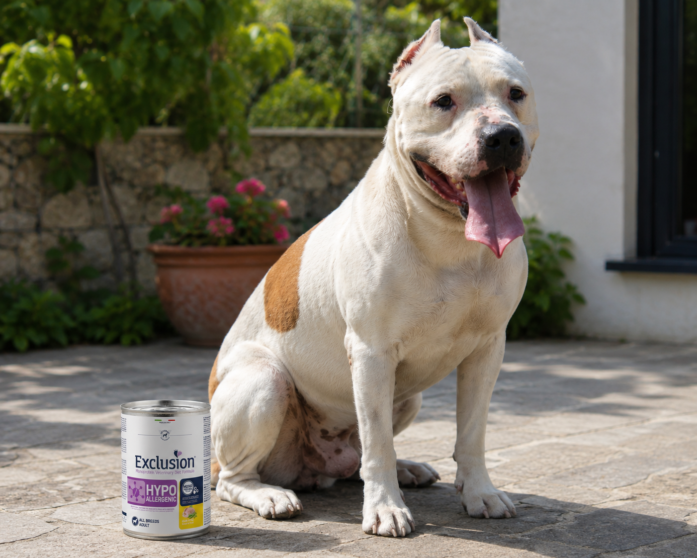 🐾 Exclusion Hypoallergenic Quail &amp; Pea – מזון רטוב היפואלרגני לכלבים בוגרים 🐶