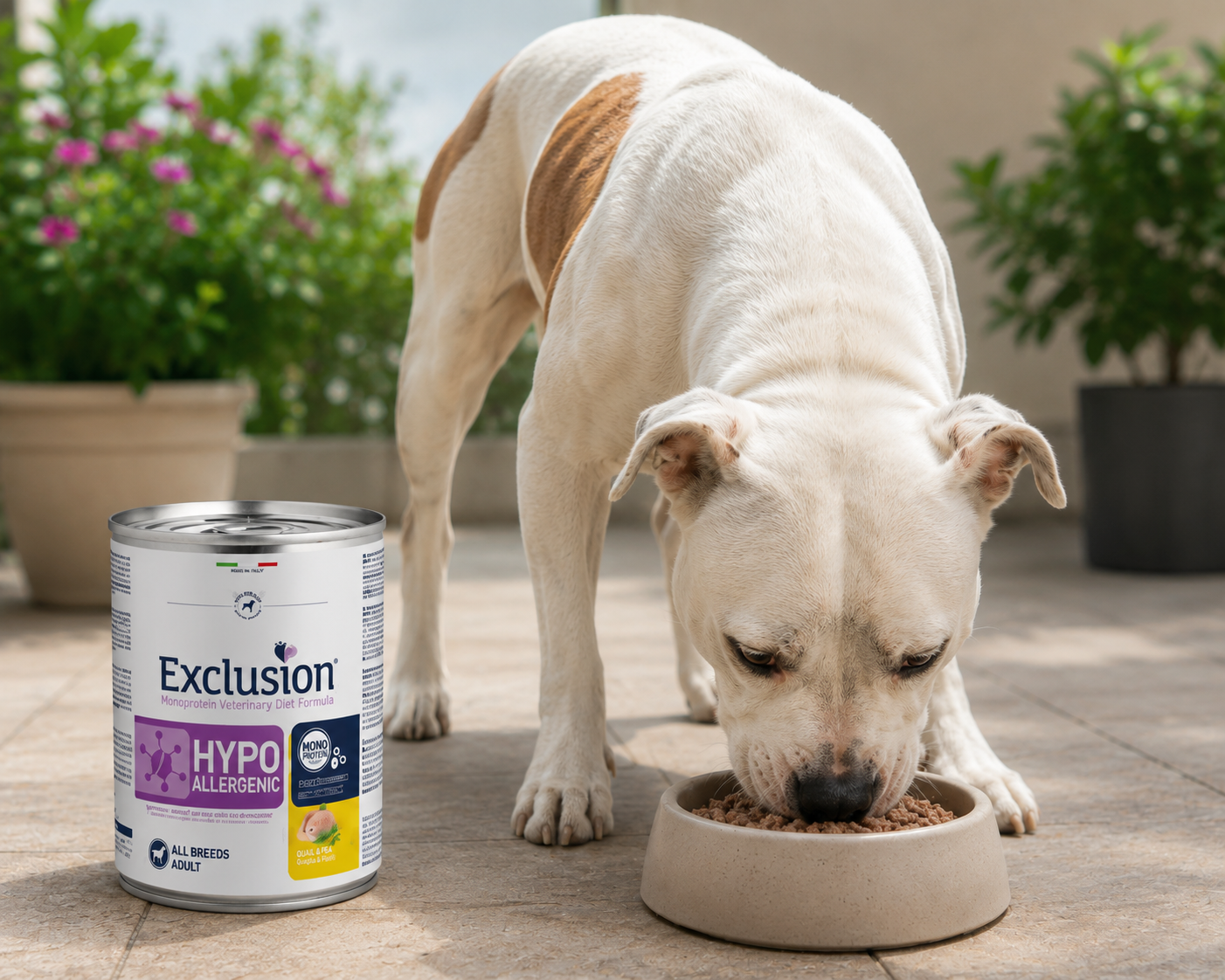 🐾 Exclusion Hypoallergenic Quail &amp; Pea – מזון רטוב היפואלרגני לכלבים בוגרים 🐶