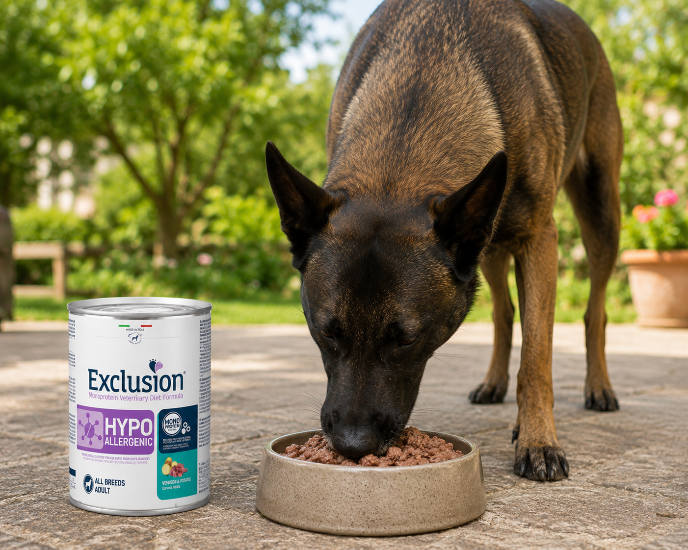 🐾 Exclusion Hypoallergenic Venison &amp; Potato – מזון רטוב היפואלרגני לכלבים בוגרים 🐶
