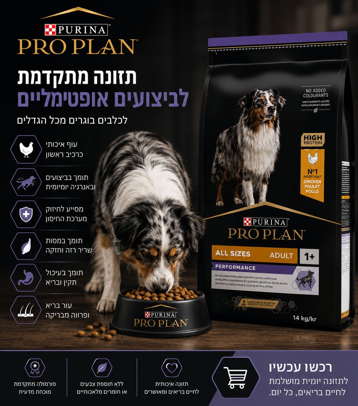 🐶 Purina Pro Plan Performance All Sizes Adult