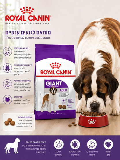 🐾 מזון מלא לכלבים מגזעים ענקיים – Royal Canin Giant Adult 🐶