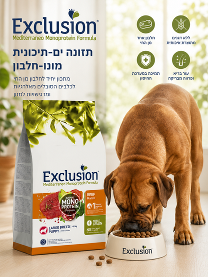 🐾 Exclusion Monoprotein Beef – מזון לגורי כלבים מגזעים גדולים 🐶