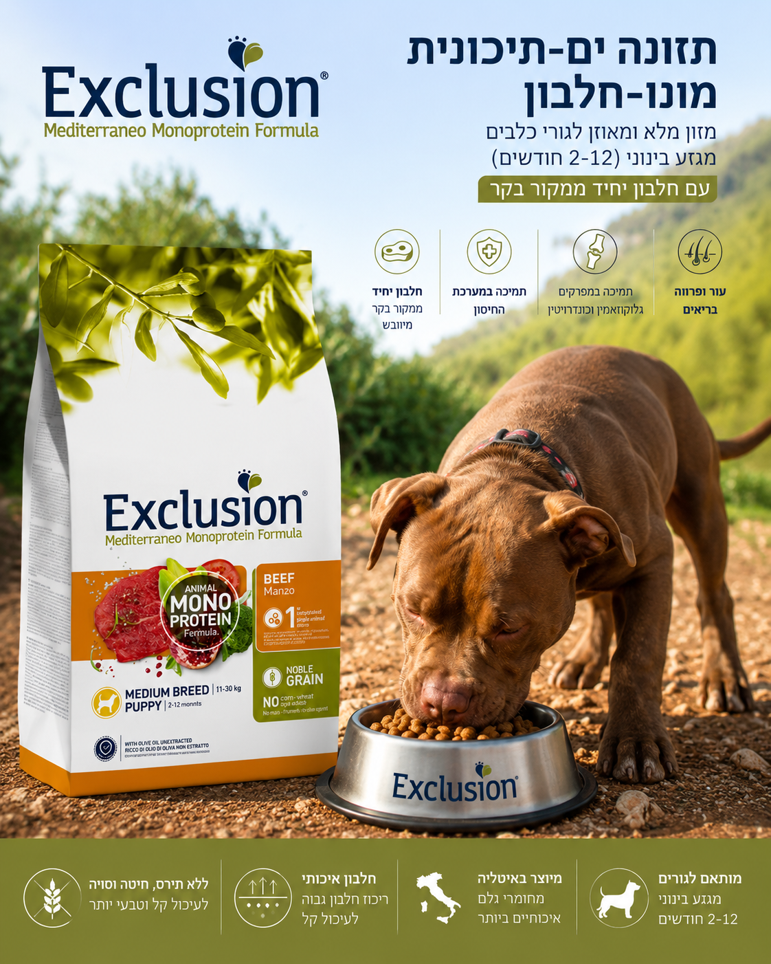 🐾 Exclusion Monoprotein Beef – מזון יבש איכותי לגורי כלבים מגזע בינוני 🐶