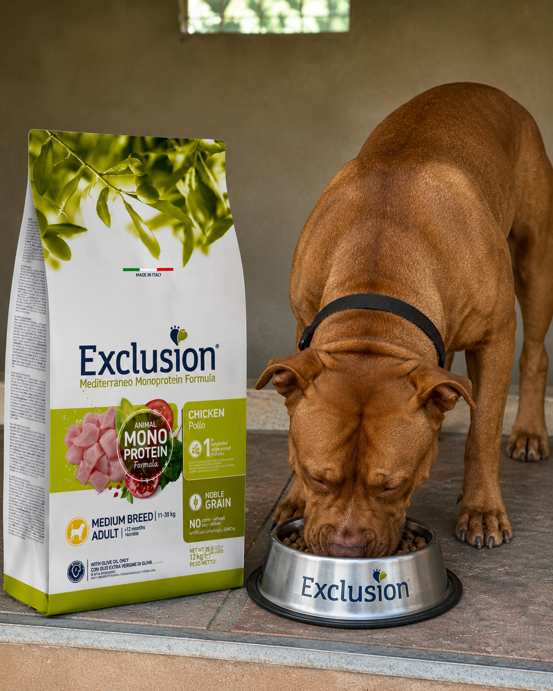 🐾 Exclusion Chicken Monoprotein – מזון יבש לכלבים בוגרים מגזע בינוני 🐶🐔