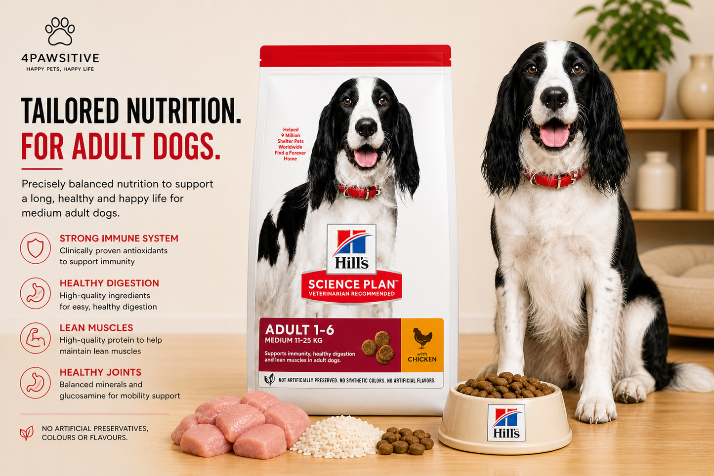 🐶 Hill’s Science Plan Adult 1–6 לכלבים בינוניים עם עוף