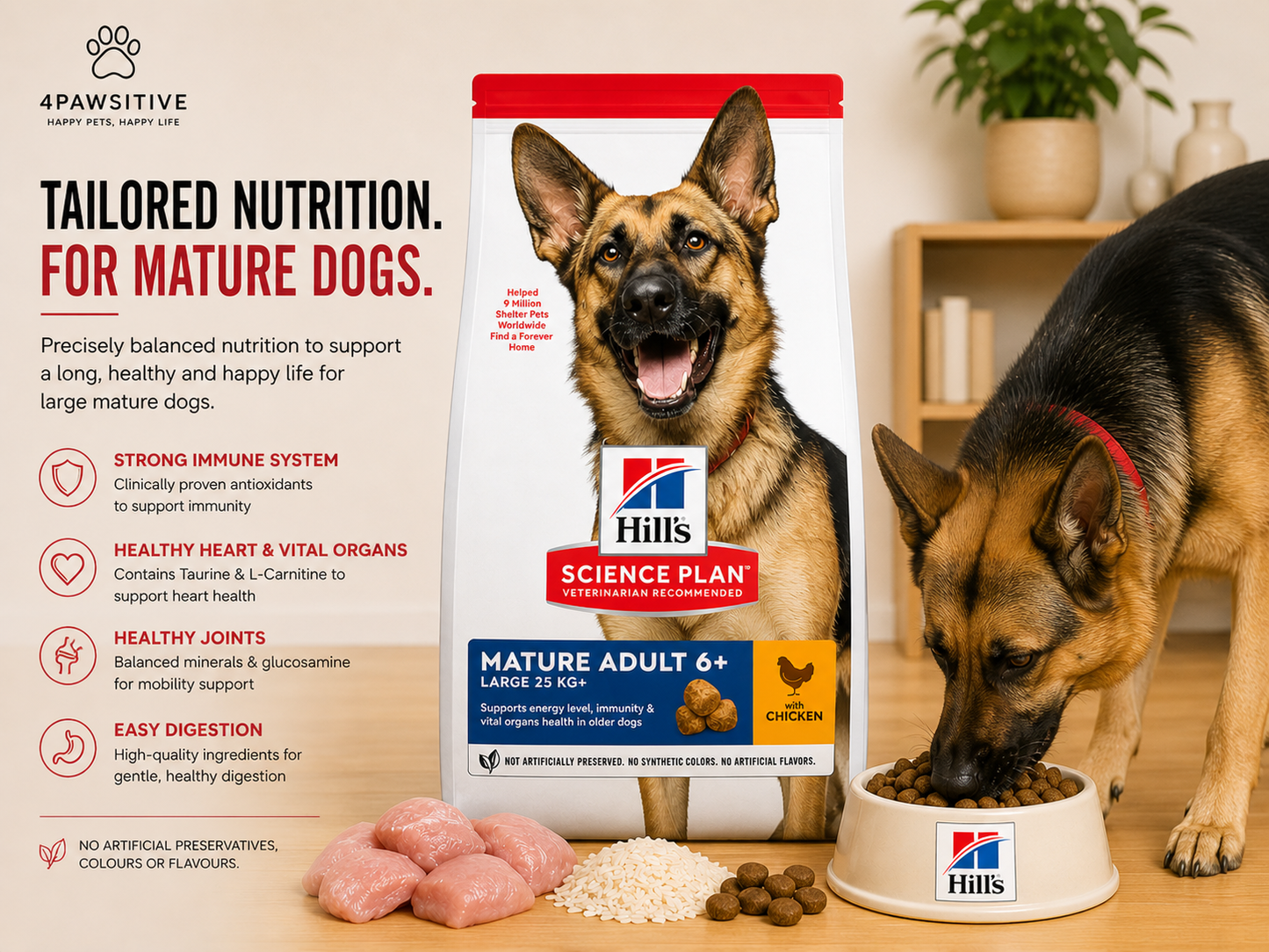 🐶 Hill’s Science Plan Mature Adult 6+ לכלבים גדולים עם עוף