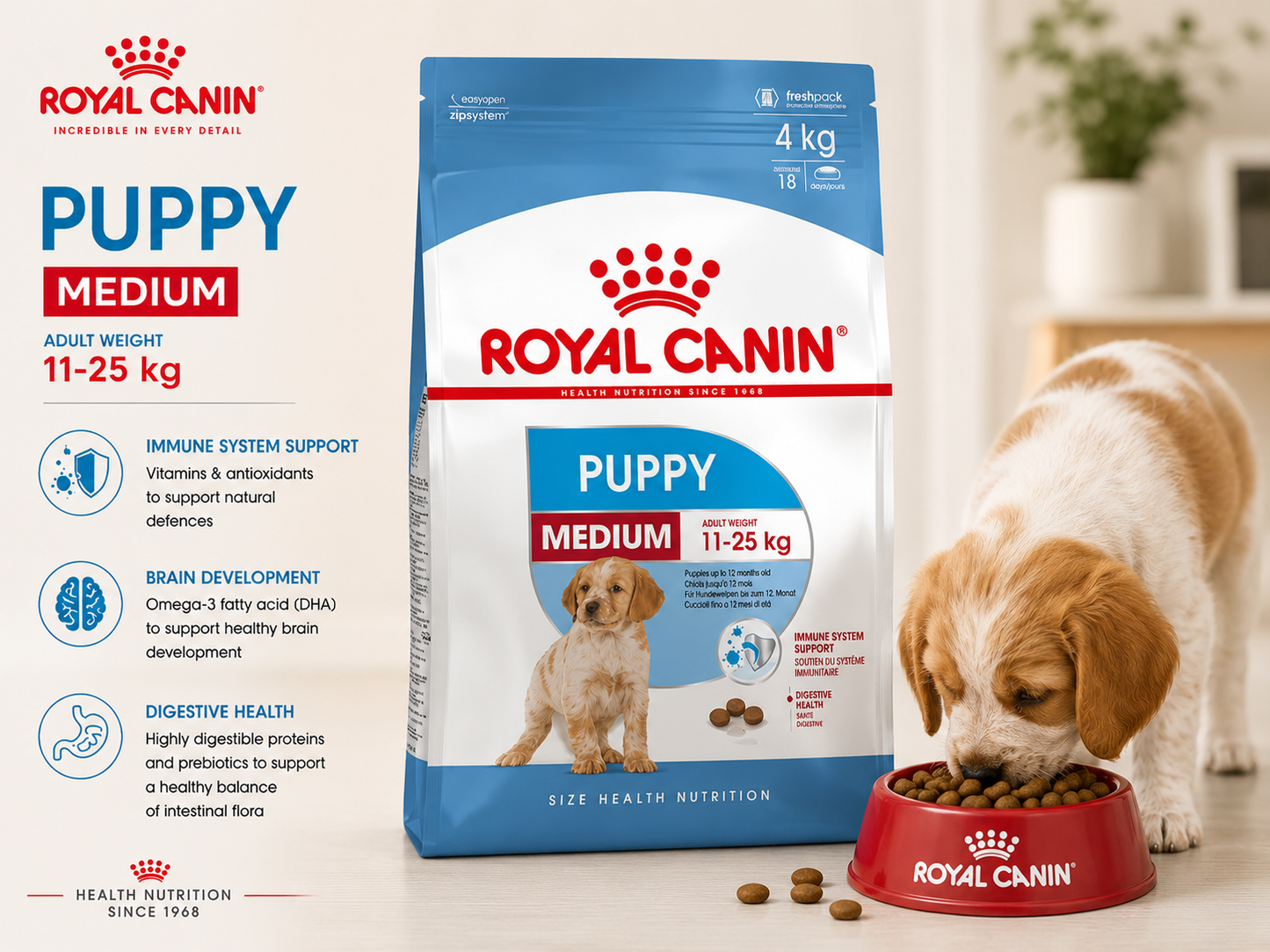 🐶 Royal Canin Medium Puppy לגורי כלבים מגזעים בינוניים