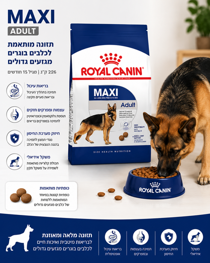 🐶 Royal Canin Maxi Adult לכלבים בוגרים מגזעים גדולים