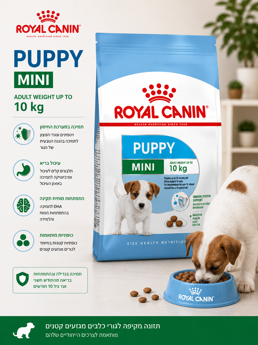 🐶 Royal Canin Mini Puppy לגורי כלבים מגזעים קטנים