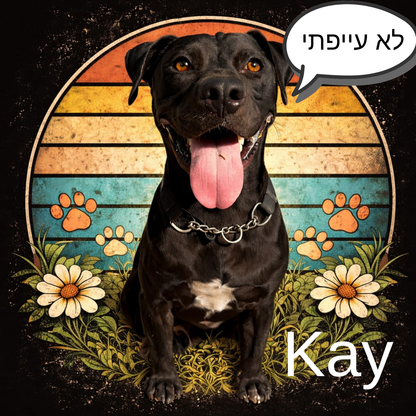 🐾 חולצת טי יוניסקס