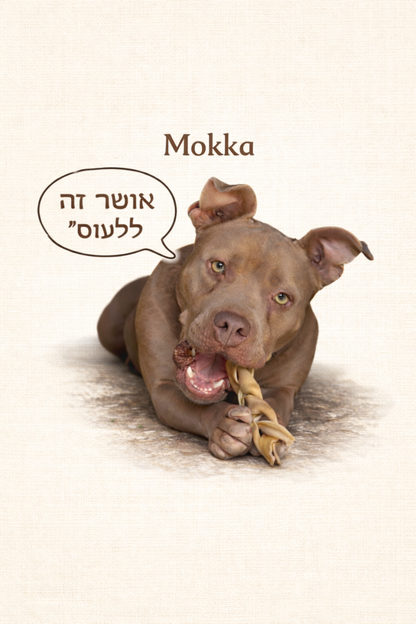 🐾 חולצת טי יוניסקס