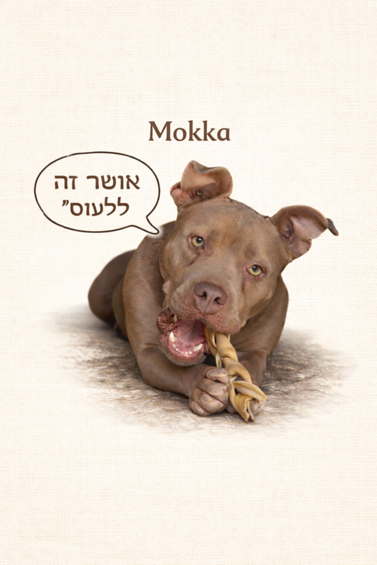 🐾 חולצת טי יוניסקס