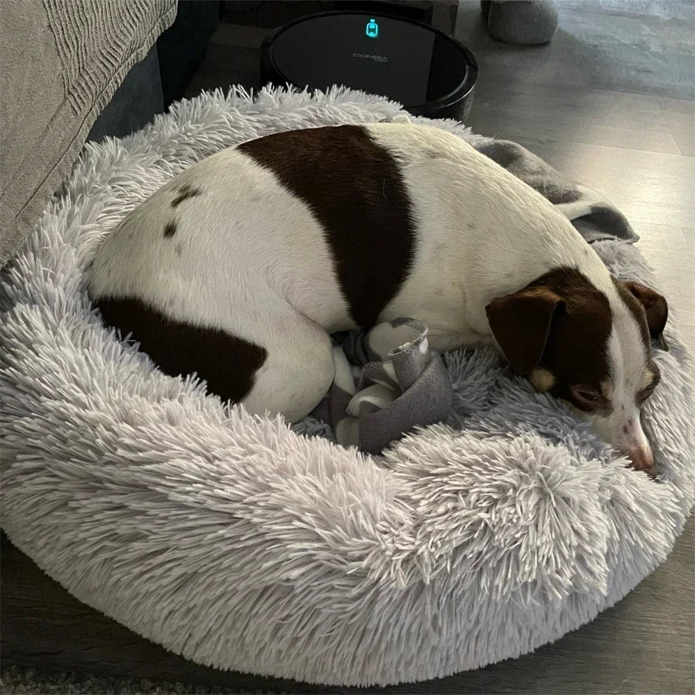 Pets Super Soft Dog Bed