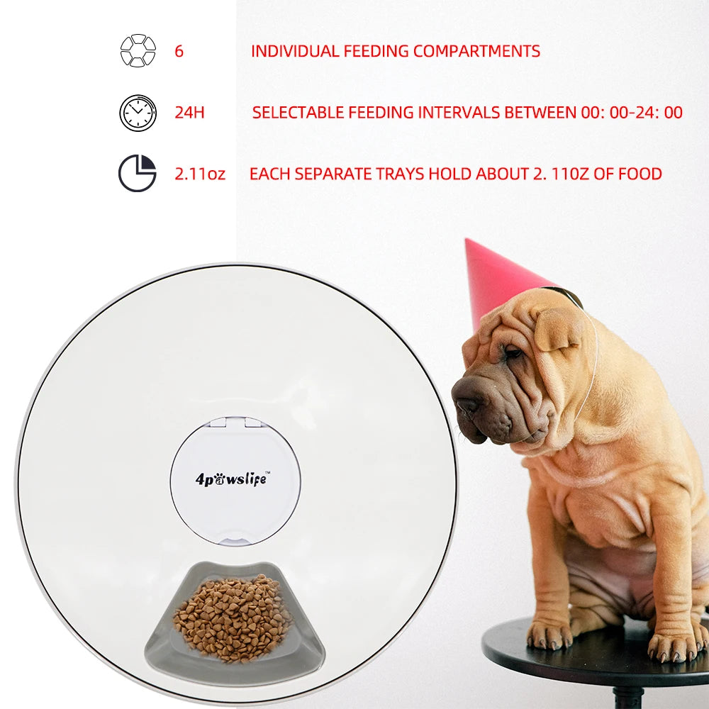 Pet Automatic Feeder