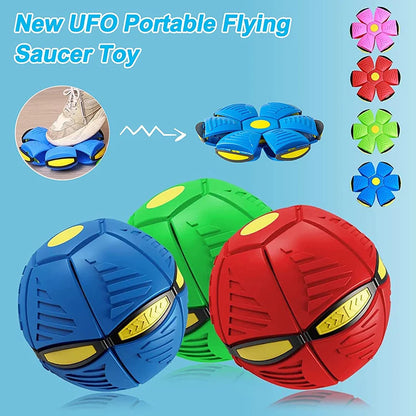 Futurism  Saucer Ball Dog Toys