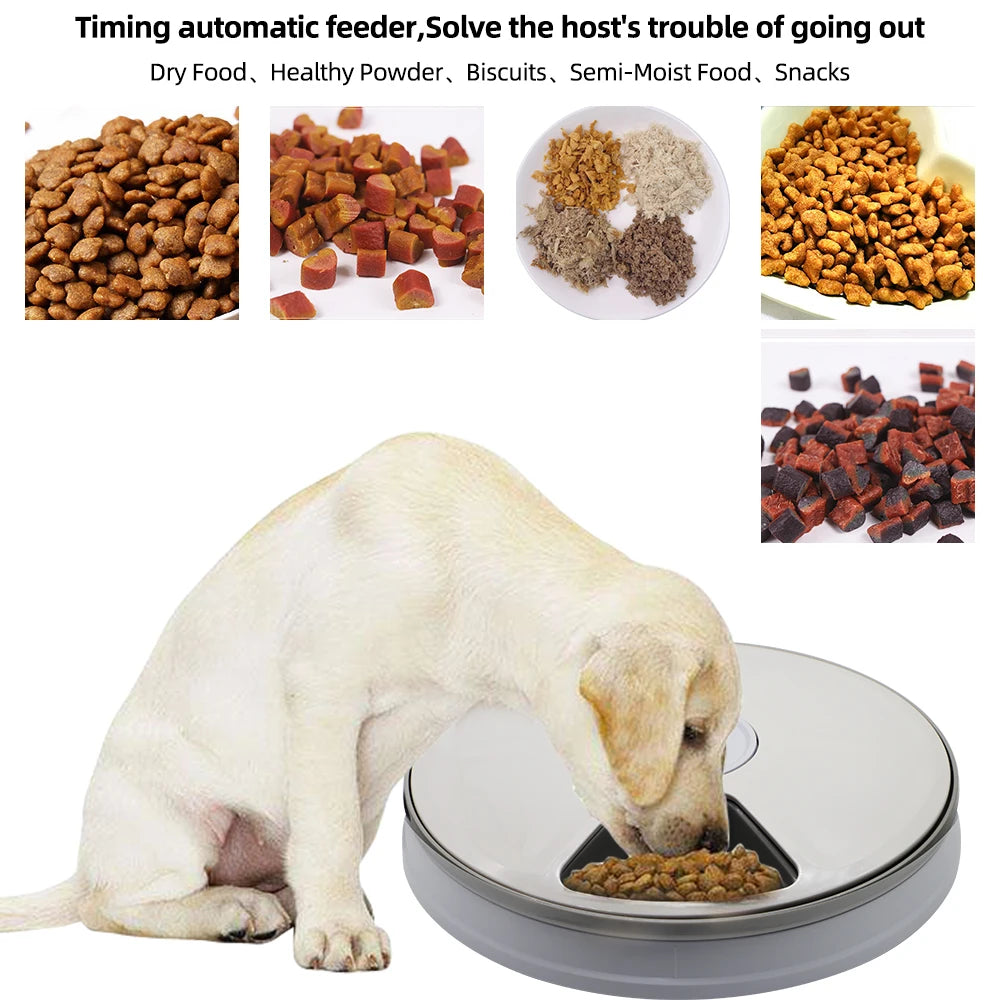 Pet Automatic Feeder