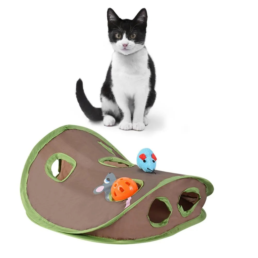 Cute Pet Cat Interactive  Game