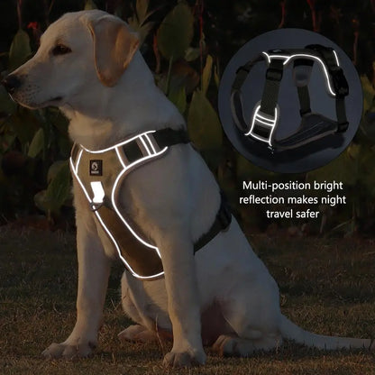 Dog Harnesses Collar