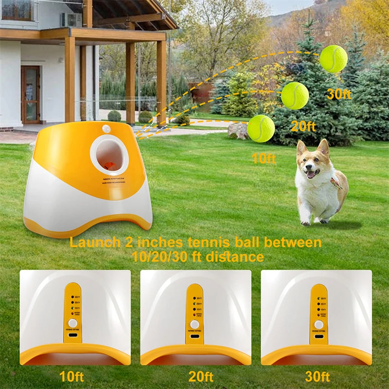 Pet Tennis Automatic Launcher