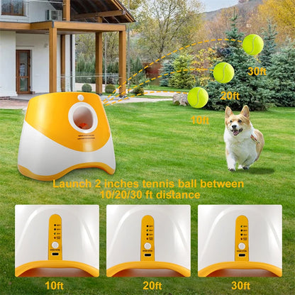 Pet Tennis Automatic Launcher